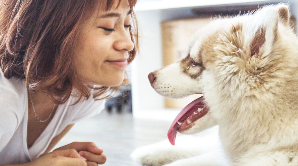 CUTE DOGS CUTE DOGS FOR SALE